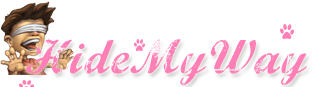Site Logo Hide My Way